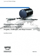 Phasing out fossil fuel subsidies in the G20: progress, challenges, and ways forward